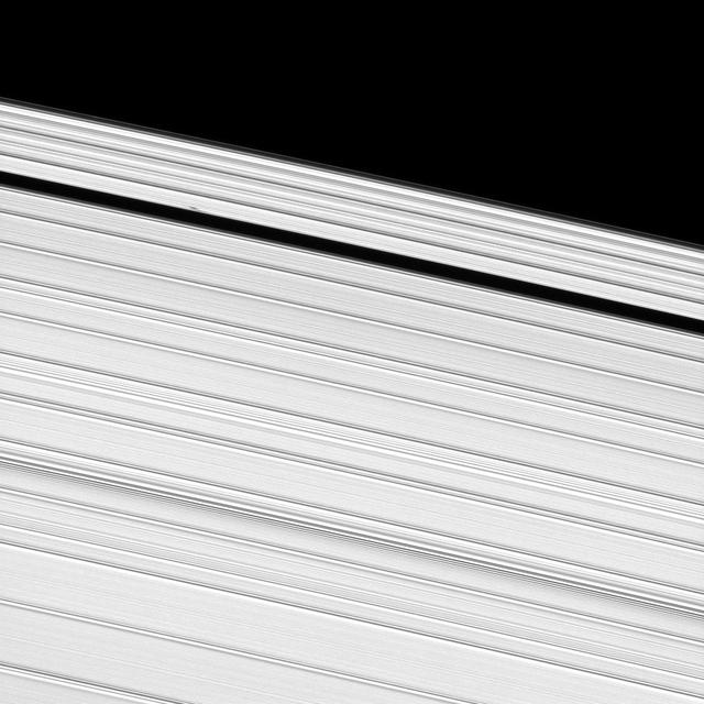 A propeller-shaped structure, created by an unseen moon, can be seen in Saturn A ring and looks like a small, dark line interrupting the bright surrounding ring material in the upper left of this image taken by NASA Cassini spacecraft.