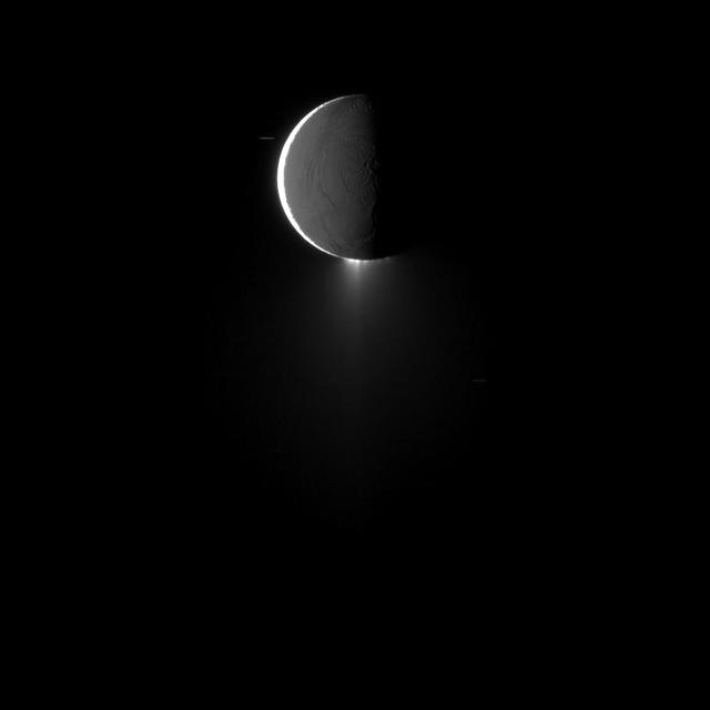 Saturn moon Enceladus, imaged at high phase, shows off its spectacular water ice plumes emanating from its south polar region in this image captured by NASA Cassini spacecraft.