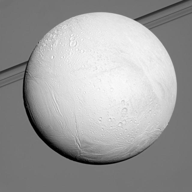 Saturn moon Enceladus reflects sunlight brightly while the planet and its rings fill the background in this view from NASA Cassini spacecraft. Enceladus is one of the most reflective bodies in the solar system.