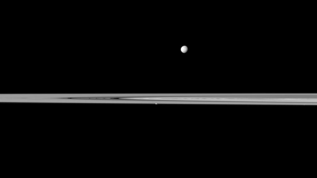 Saturn small, potato-shaped moon Prometheus appears embedded within the planet rings near the center of this view from NASA Cassini spacecraft while the larger moon Mimas orbits beyond the rings.