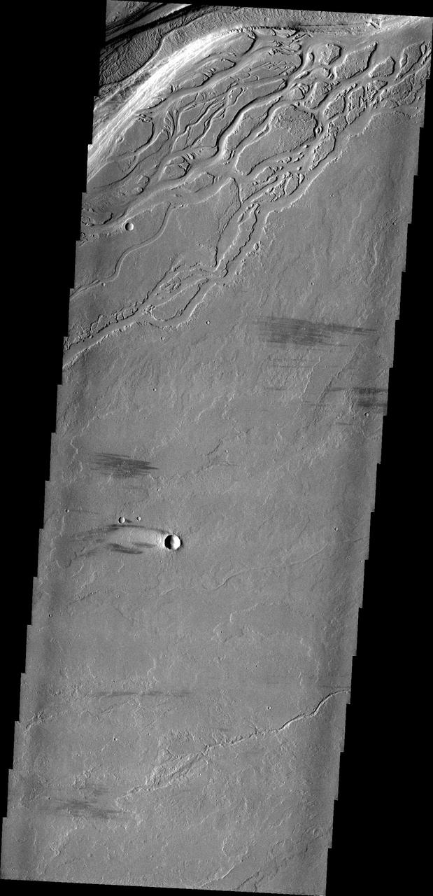 The complex region of channels at the top of this image, captured by NASA 2001 Mars Odyssey spacecraft, are lava channels. These channels are called Olympica Fossae.