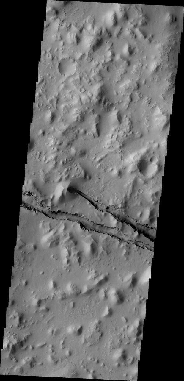 The fractures in this image taken by NASA 2001 Mars Odyssey spacecraft are part of Cerberus Fossae.