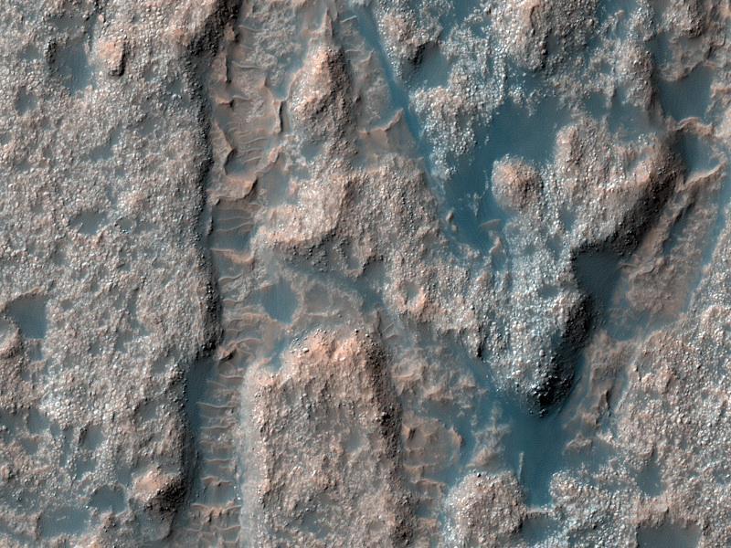 This image from NASA Mars Reconnaissance Orbiter shows a portion of the floor in Palos Crater on equatorial Mars. The floor appears bumpy with high-standing layered knobs; most of its terrain is weathering into meter-size yard-size polygonal blocks.
