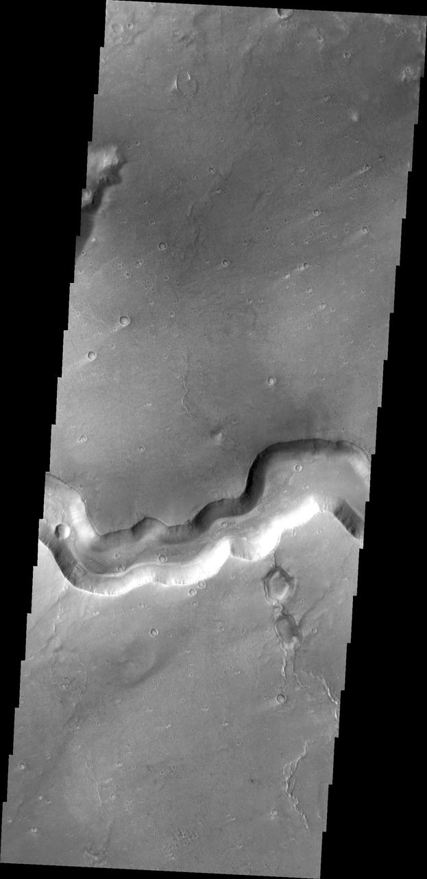 This image captured by NASA 2001 Mars Odyssey spacecraft shows a section of Bahram Vallis.