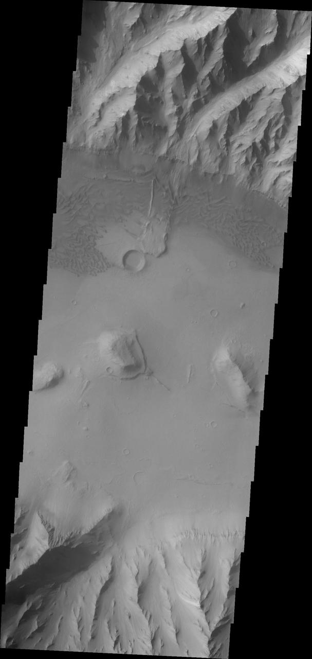 This image taken by NASA 2001 Mars Odyssey of the eastern end of Coprates Chasma contains a landslide deposit and sand dunes. Both features are typical for the chasmata that make up Valles Marineris.