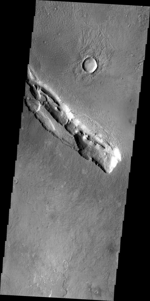 The fracture system in this image, captured by NASA 2001 Mars Odyssey, is part of Galaxias Fossae, a series of fractures on the northern part of the Elysium Mons volcanic complex.