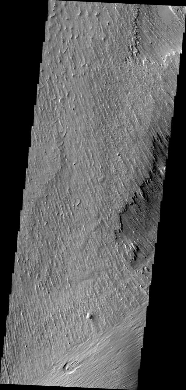 Wind is one of a handful of active processes on Mars today. This image taken by NASA 2001 Mars Odyssey of Memnonia Sulci demonstrates the power of wind in eroding and shaping the surface.
