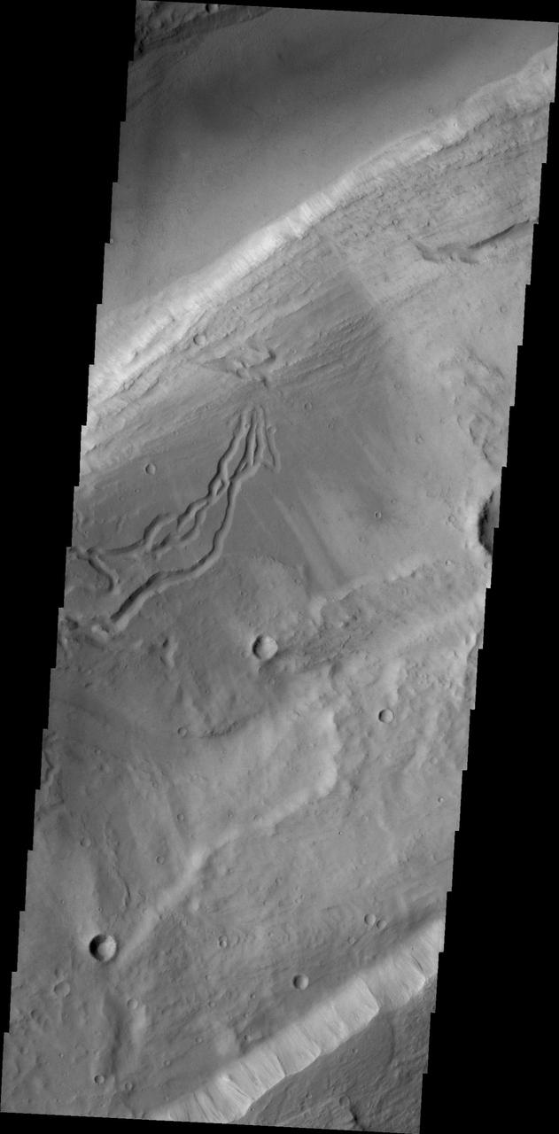 This image taken by NASA 2001 Mars Odyssey shows secondary channeling on a terrace of the huge Kasei Valles outflow system.