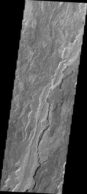 Some of the youngest volcanic flows on Mars are from Arsia Mons. This image captured by NASA 2001 Mars Odyssey of Daedalia Planum shows some of these flows.