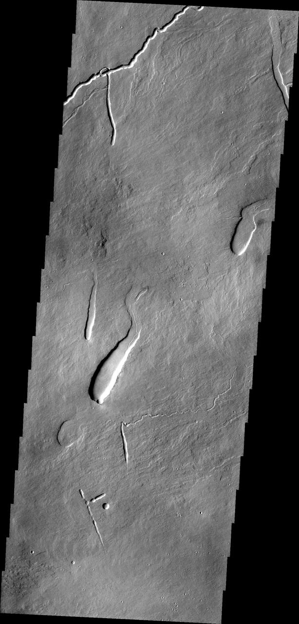 This image from NASA 2001 Mars Odyssey shows part of the northeastern flank of Ascraeus Mons, one of the large Tharsis volcanoes. The channels were carved by lava, not by water.