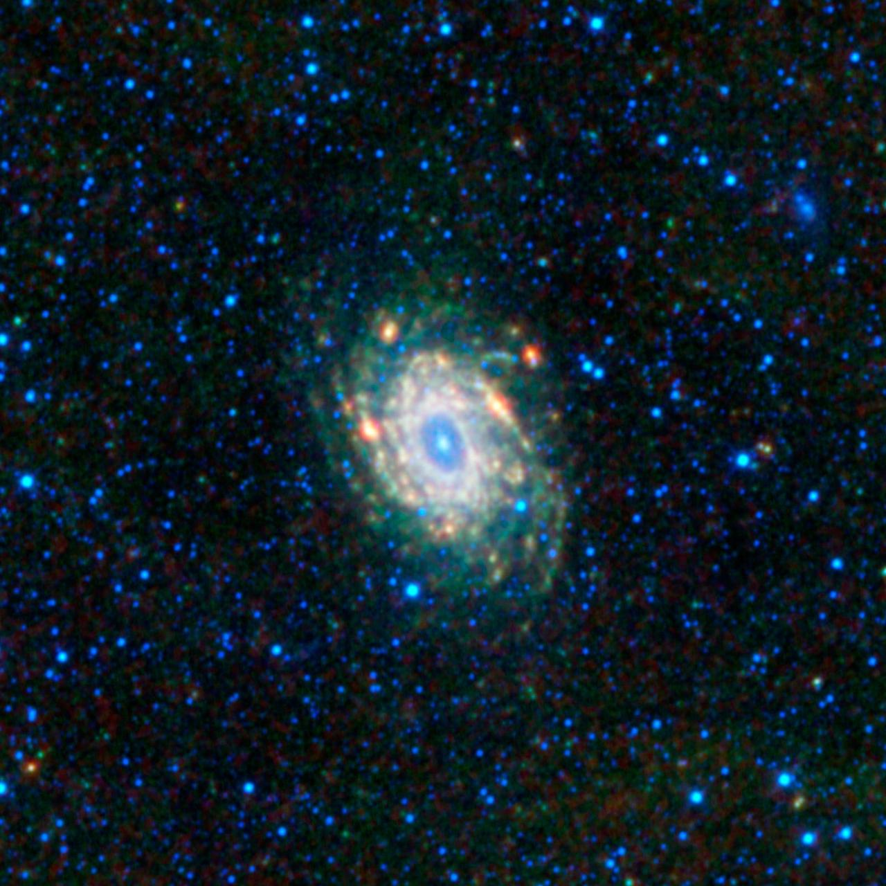 This mosaic image from NASA Wide-field Infrared Survey Explorer is located in a constellation in the southern sky, Pavo, which is Latin for peacock.