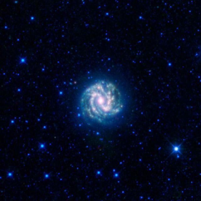 NASA image: Southern Pinwheel