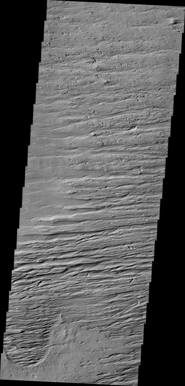 This image from NASA 2001 Mars Odyssey is located south of Olympus Mons and east of Gordii Dorsum, in a heavily wind eroded region. The winds are predominately east/west in this area.