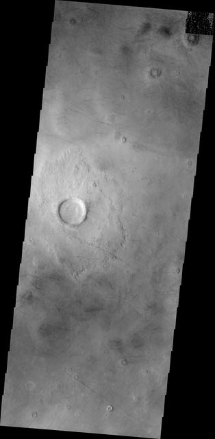 NASA image: Utopia Planitia