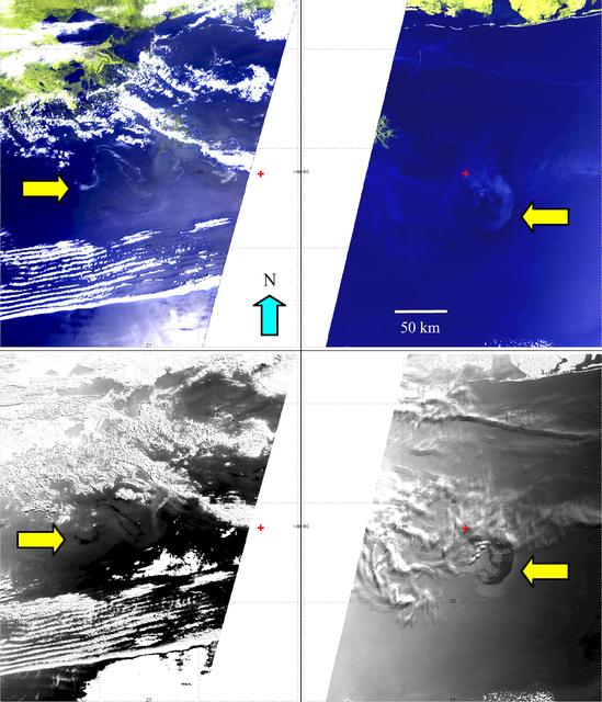 NASA image: NASA MISR Images Continued Spread of Gulf of Mexico Oil Slick