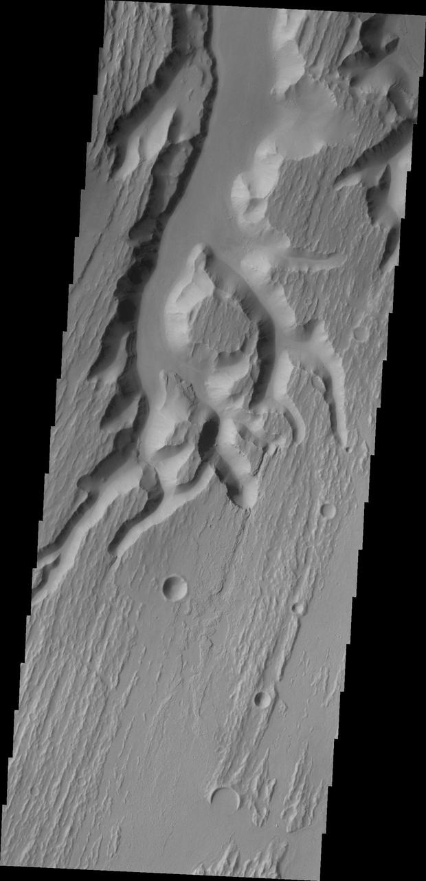 This image from NASA 2001 Mars Odyssey shows a small portion of the complex channel system, Kasei Valles. In this image, secondary channeling has cut down deeper into the main channel.