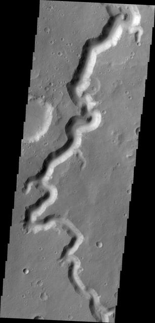 NASA image: Nanedi Valles