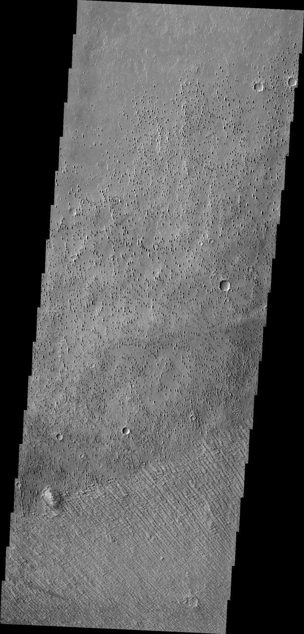 Located on the margin of Zephyria Planum, this image from NASA 2001 Mars Odyssey shows the effect the wind has had on the surface of Mars. Loose materials have been removed and semi-consolidated materials have been eroded into narrow hill forms.