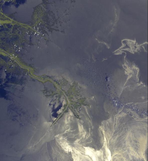 This image acquired on May 24, 2010 by NASA Terra spacecraft shows oil from the former Deepwater Horizon rig encroaching upon several of Louisiana wildlife habitats.