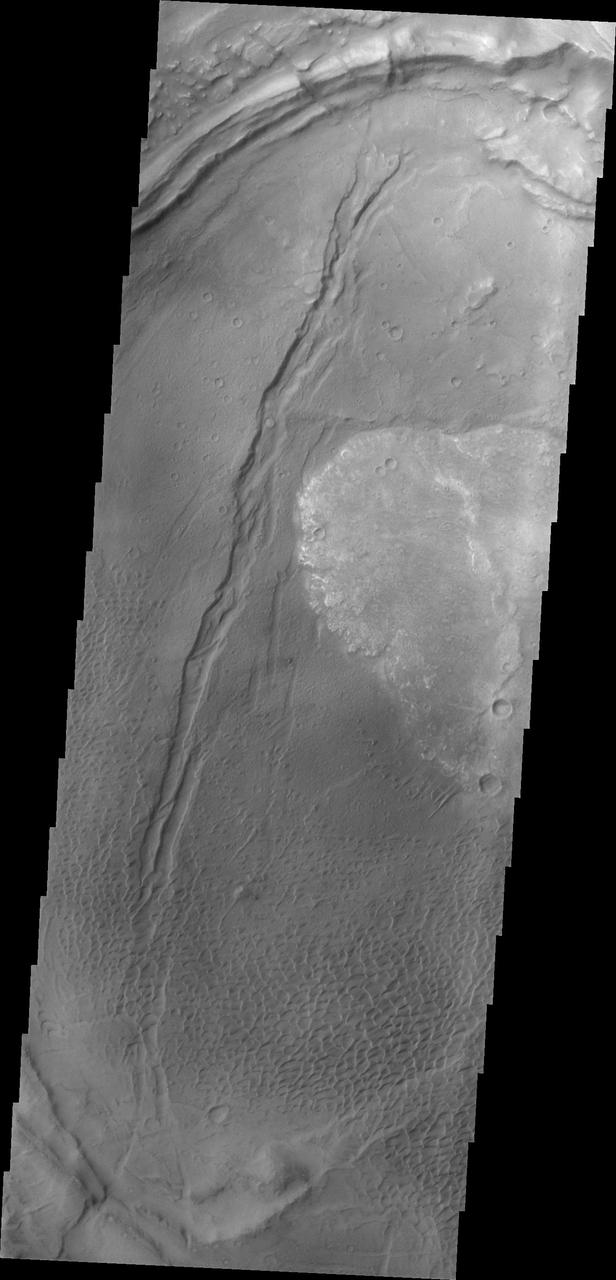 Dunes appear on the floor of Nili Patera, one of the two volcanic calderas of Syrtis Major in this image taken by NASA 2001 Mars Odyssey.