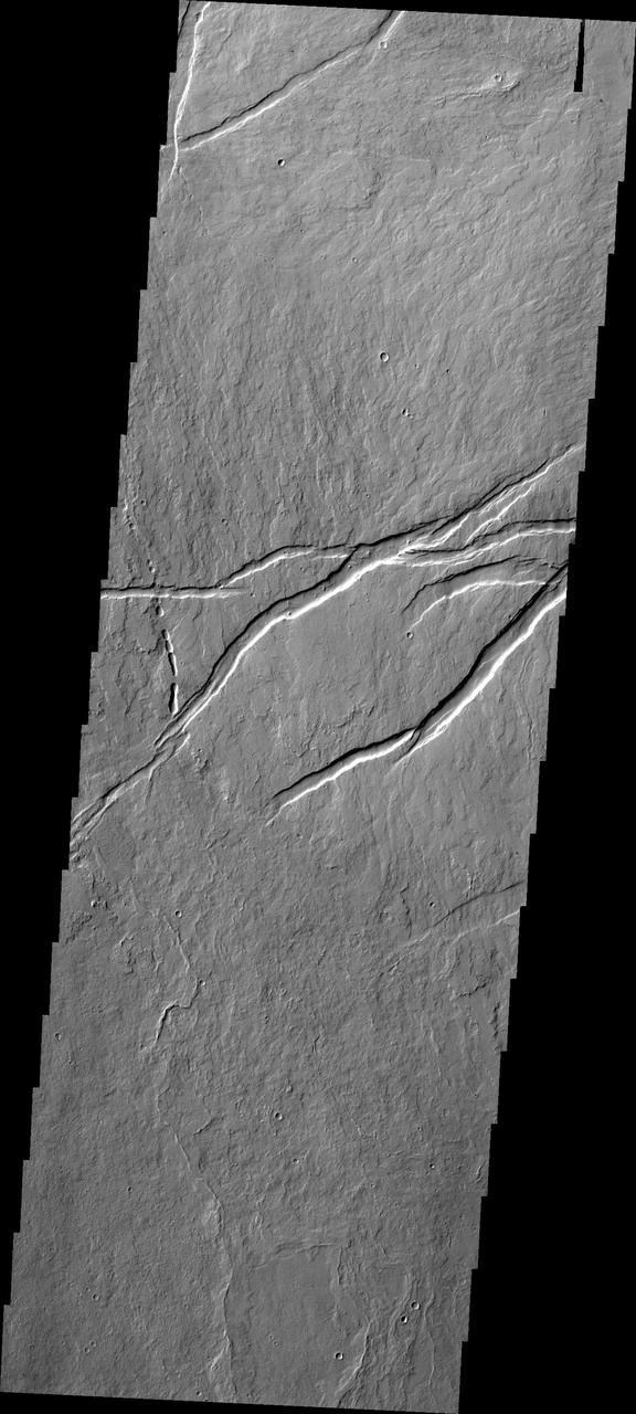 Oti Fossae