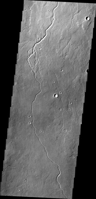 NASA image: Elysium Channels