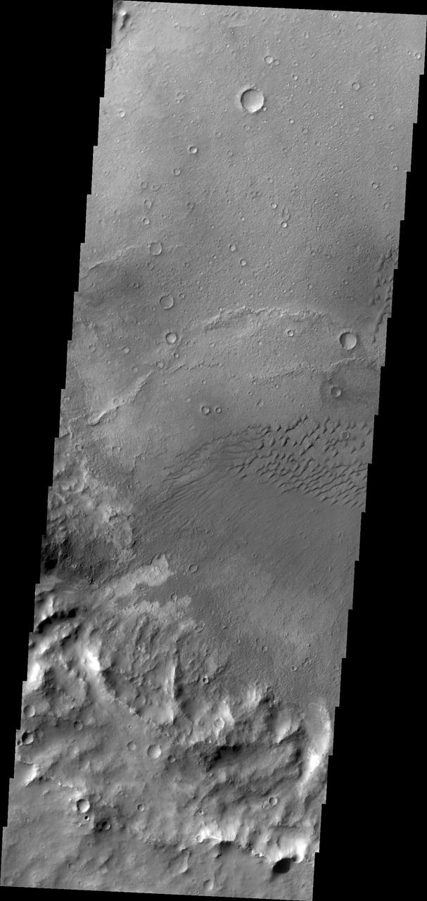 The dunes in this image captured by NASA 2001 Mars Odyssey are located in an unnamed crater in Terra Cimmeria.