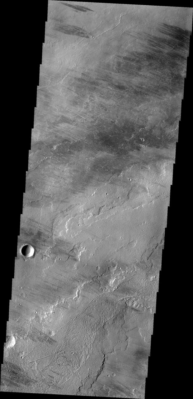 This image from NASA Mars Odyssey shows are region of lava covered plains east of Olympus Mons. Winds are common in the area and have created windstreaks downwind of craters in the region and on the lava flows.