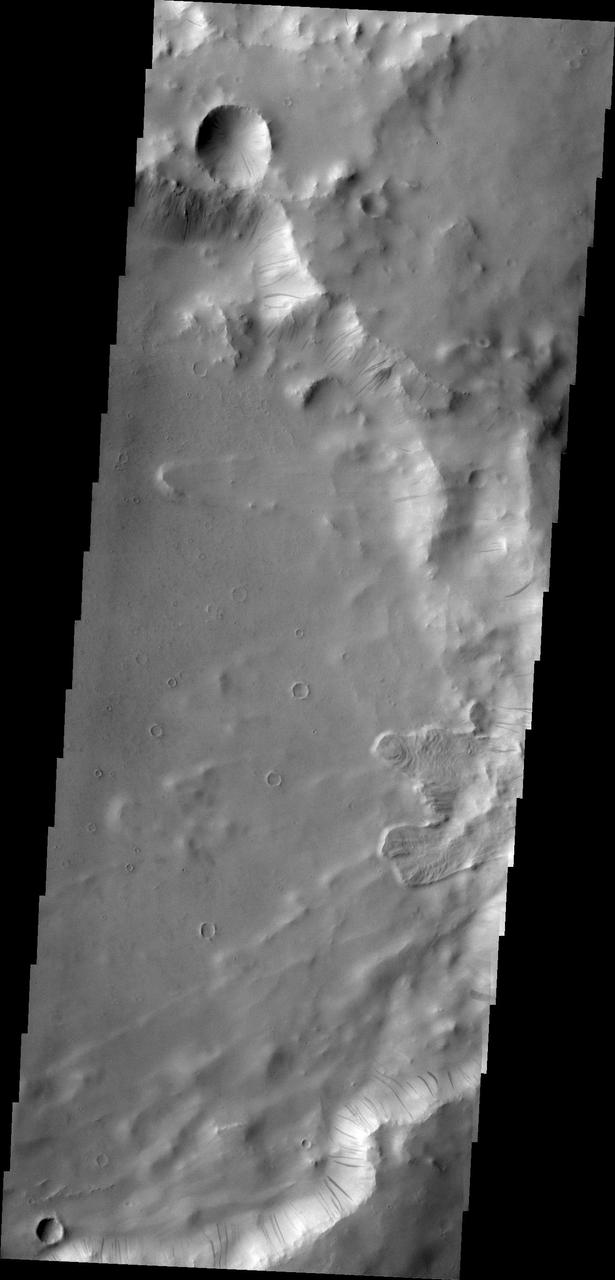 Dark slope streaks mark the rim of this unnamed crater in Terra Sabaea captured by NASA Mars Odyssey.