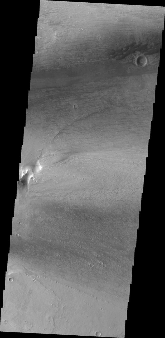 This small group of dunes in located within Kasei Valles. This image from NASA Mars Odyssey was captured on June 16, 2010.