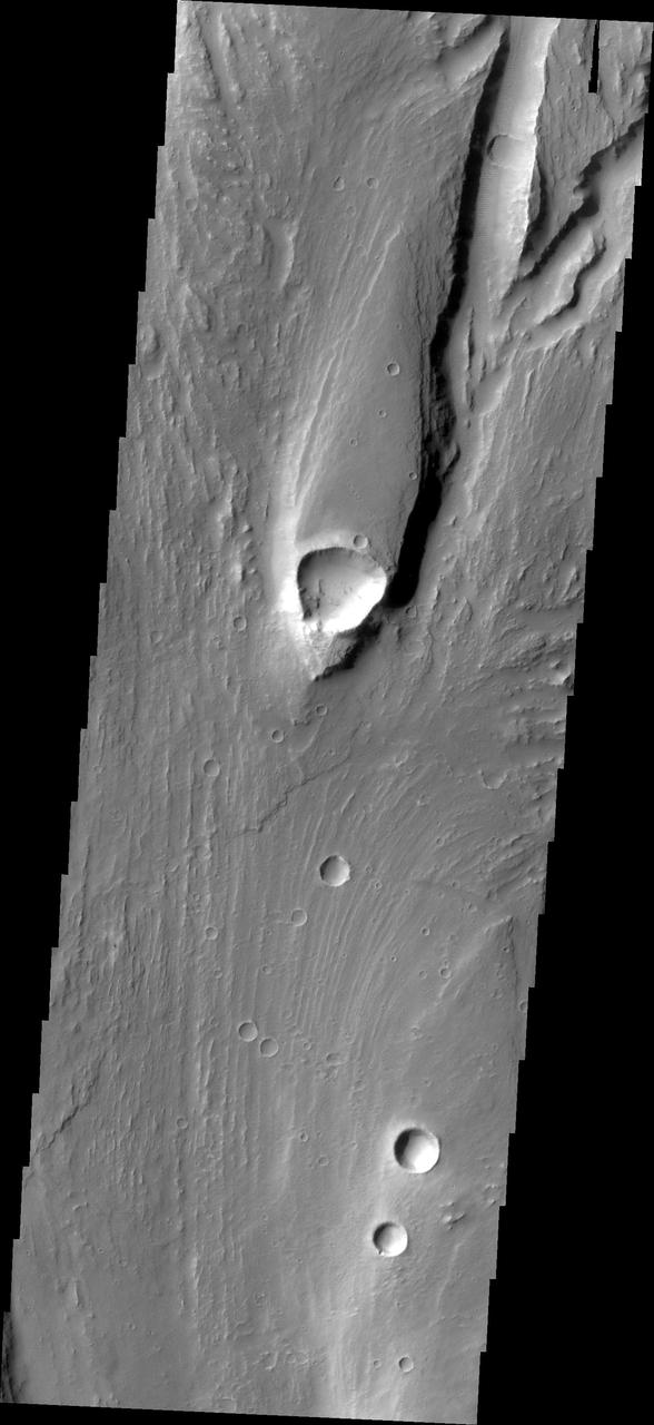 This streamlined island is located within Maja Valles was captured by NASA Mars Odyssey on July 1, 2010.
