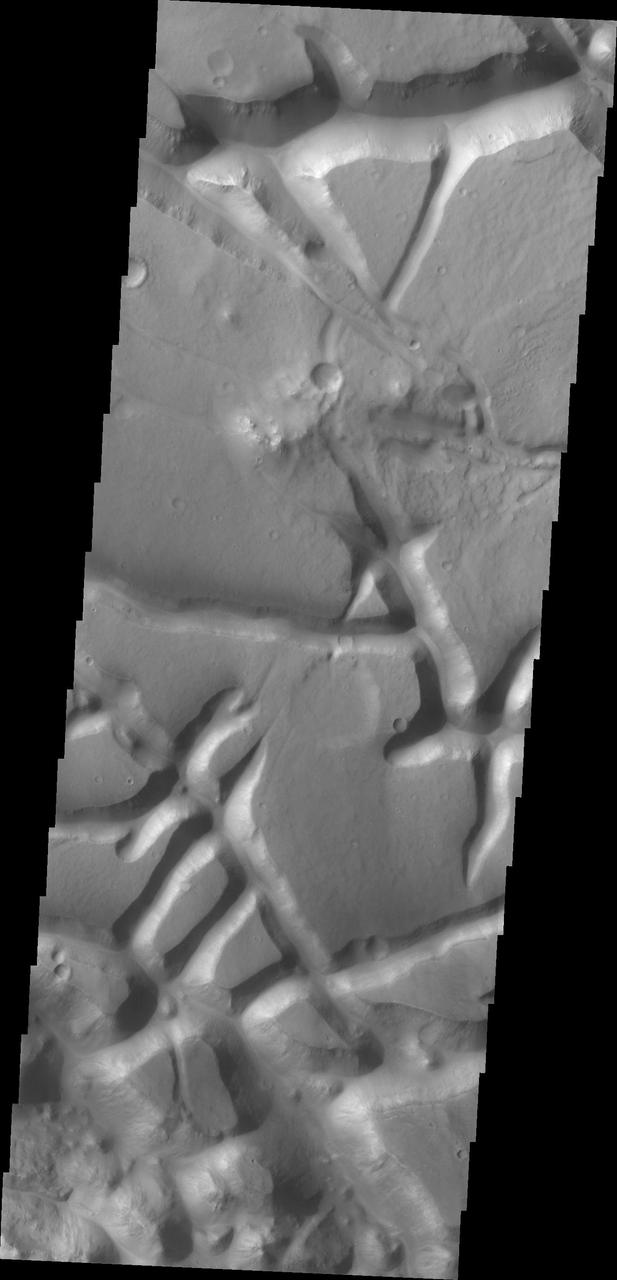 The tectonic fractures in this image captured by NASA Mars Odyssey on July 8, 2010 are part of Aram Chaos.