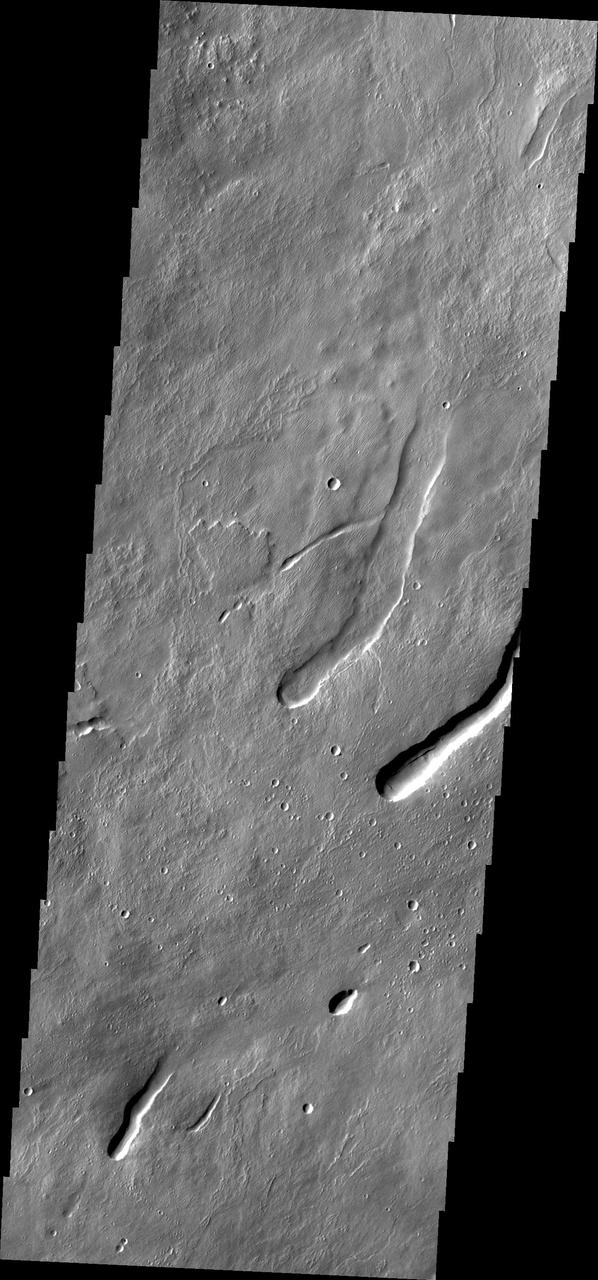 This image from NASA Mars Odyssey caputured on July 23, 2010 off the northern flank of Arsia Mons shows collapse/vent features.