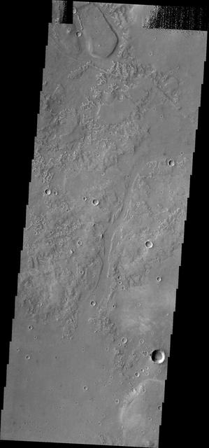 NASA image: Utopia Planitia