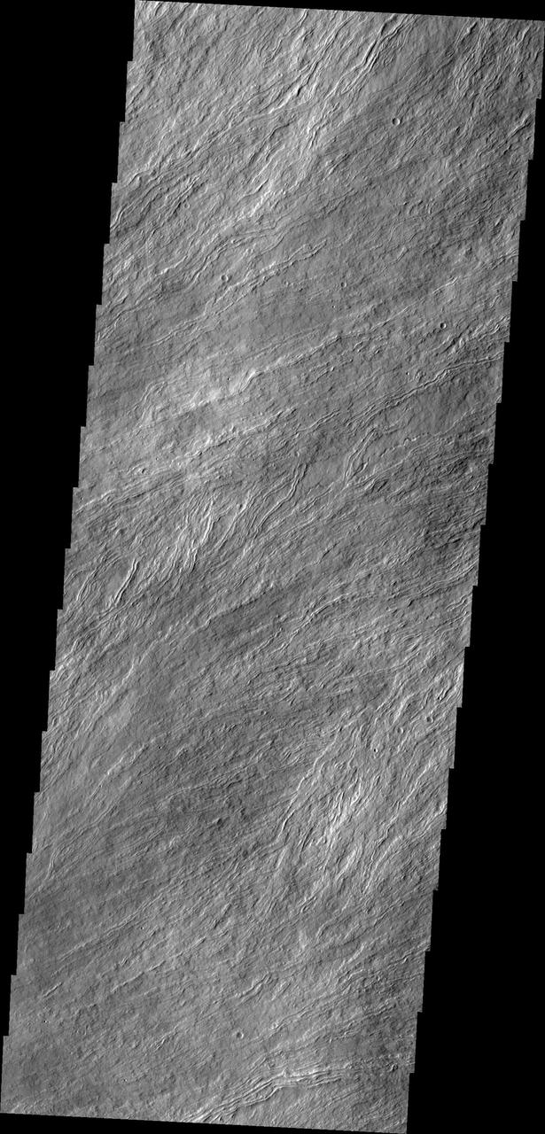 Many surface lava flows on the flanks of Olympus Mons are confined to narrow channels, like the ones in today image from NASA Mars Odyssey.