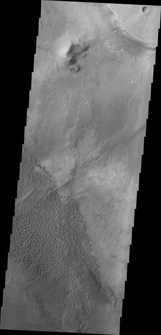 The dunes in this image from NASA Mars Odyssey are located in Nili Patera, one of the two patera of Syrtis Major Planum.