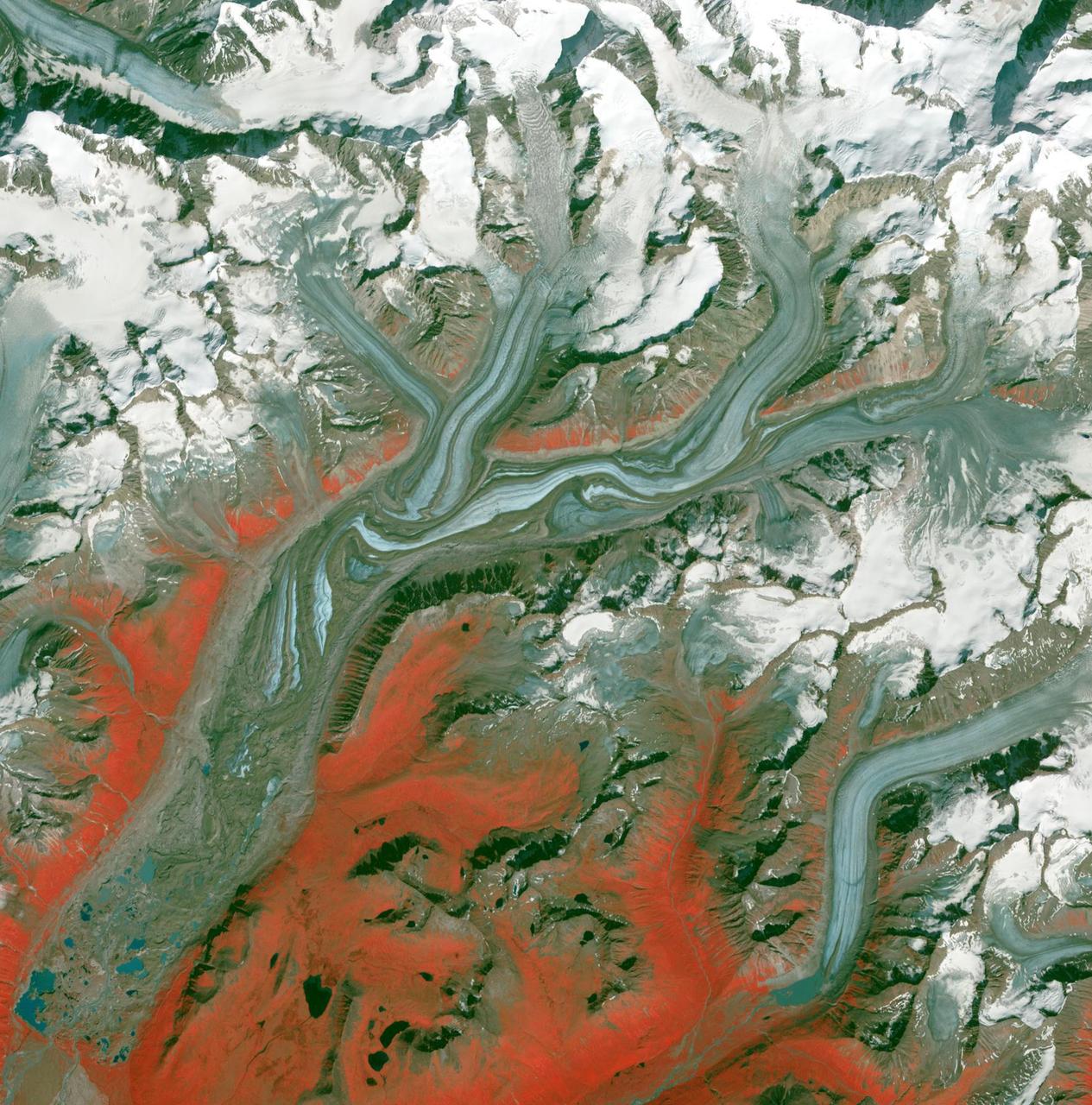 Folds in the lower reaches of valley glaciers can be caused by powerful surges of tributary ice streams. This phenomenon is spectacularly displayed by the Sustina Glacier in the Alaska Range as seen by NASA Terra spacecraft.