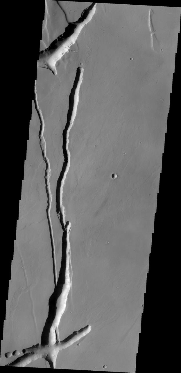 The depressions in this image from NASA Mars Odyssey likely formed due to both volcanic and tectonic forces. Tectonic forces likely account for some of the depressions, while collapse into lava tubes and lava flow erosion account for the remainder.