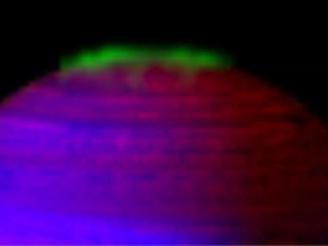 This frame from a movie, made from data obtained by NASA Cassini spacecraft, shows Saturn southern aurora shimmering over approximately 20 hours as the planet rotates. The video is available at the Photojournal.
