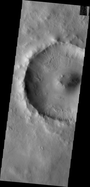 NASA image: Gullies