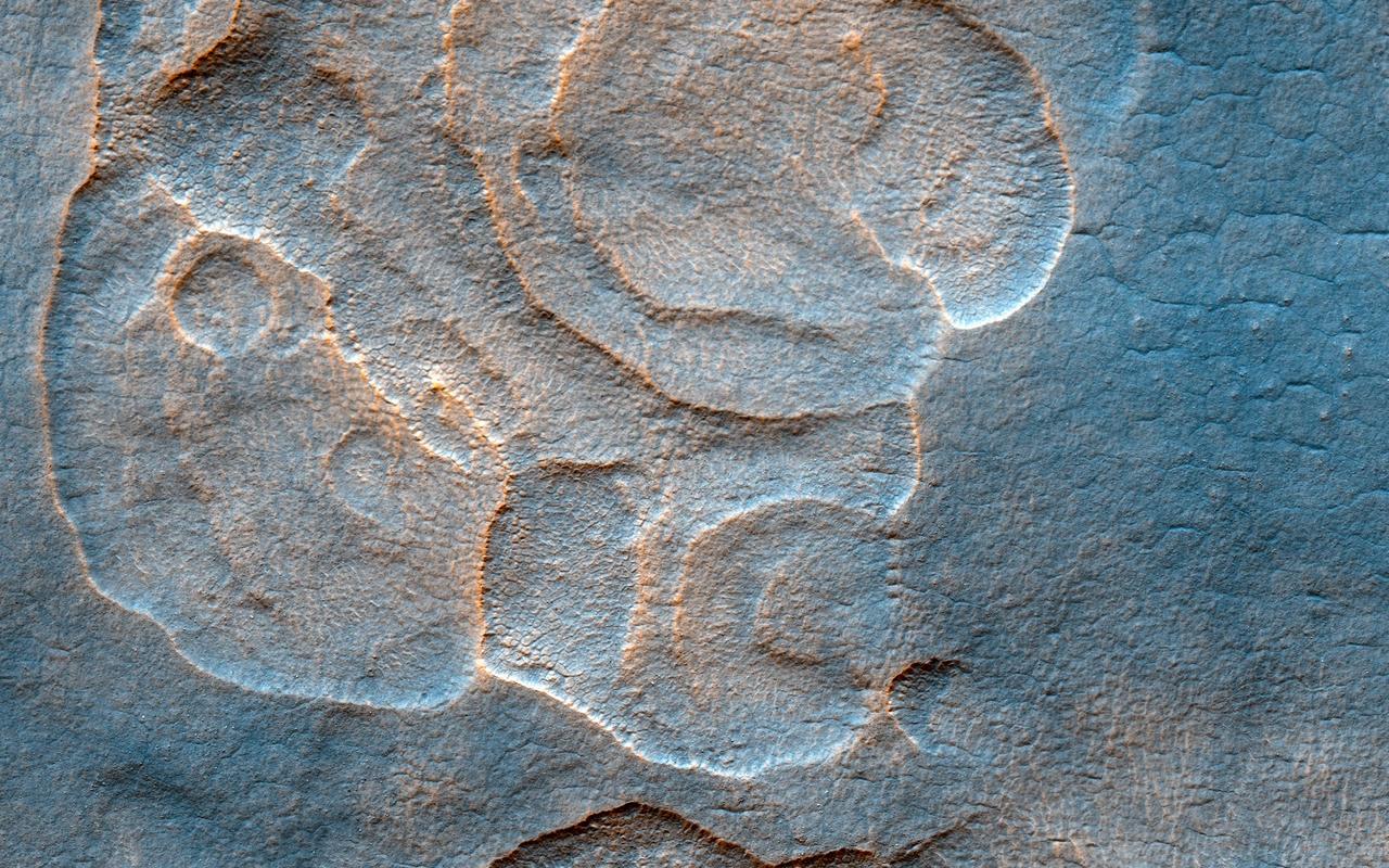 The western Utopia Planitia in the Northern mid-latitudes of Mars is marked by a peculiar type of depression with scalloped edges and by a network of polygonal fractures. The scalloped depressions are typical features; a smooth layered terrain located between 40 and 60 degrees in both hemispheres. Scalloped depressions probably form by removal of ice-rich subsurface material by sublimation (ice transforming directly from a solid to a gaseous state), a process that may still be active today. Isolated scalloped depressions generally have a steep pole-facing scarp and a gentler equator-facing slope. This asymmetry is interpreted as being the result of difference in solar heating. Scalloped depressions may coalesce, leading to the formation of large areas of pitted terrain. The polygonal pattern of fractures resembles permafrost polygons that form in terrestrial polar and high alpine regions by seasonal-to-annual contraction of the permafrost (permanently frozen ground). On Earth, such polygons indicate the presence of ground ice. These landforms most likely show that sub-surface ice is present or has been present geologically recently at these latitudes, and they may slowly be continuing their development at the present time. http://photojournal.jpl.nasa.gov/catalog/PIA13485