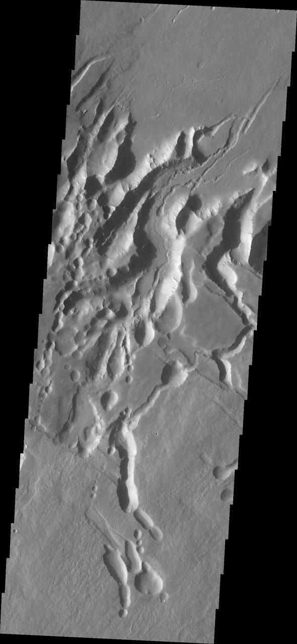 Arsia Chasmata is a complex collapsed region at the northeastern flank of Arsia Mons. The collapsed region aligns with the Pavonis and Ascraeus Mons volcanoes, indicating that all three volcanoes are located on a major fracture in the Tharsis region.