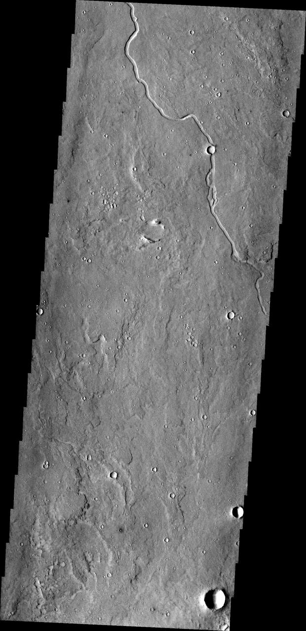This image from NASA Mars Odyssey shows an unnamed channel located on the margin of Elysium Planitia and the Elysium volcanic complex.