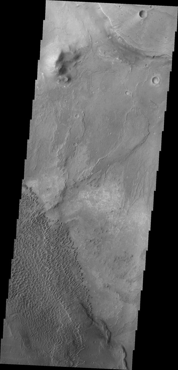 The individual dunes in this image from NASA Mars Odyssey are moving along a hard surface in Nili Patera.