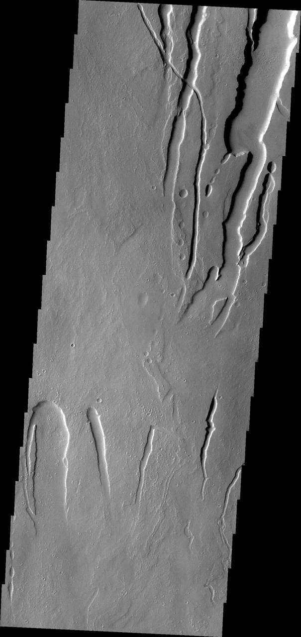 This image from NASA Mars Odyssey shows lava channels and collapse features on the southwestern flank of Ascraeus Mons.