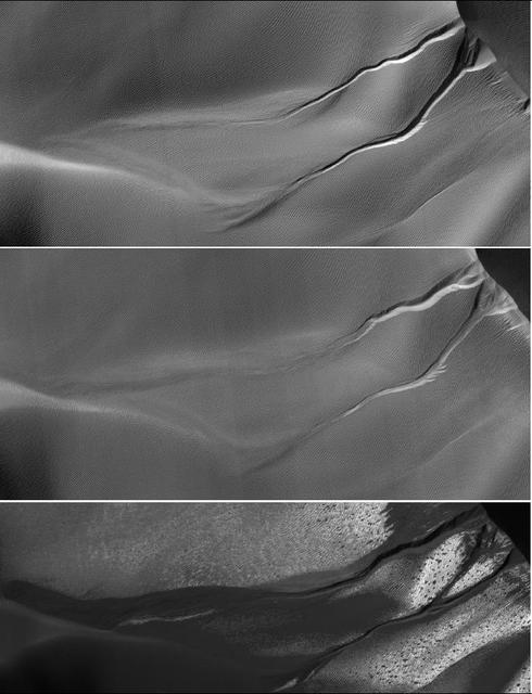 The gullies on a Martian sand dune in this trio of images from NASA Mars Reconnaissance Orbiter deceptively resemble features on Earth that are carved by streams of water. The dunes lie inside Matara Crater.
