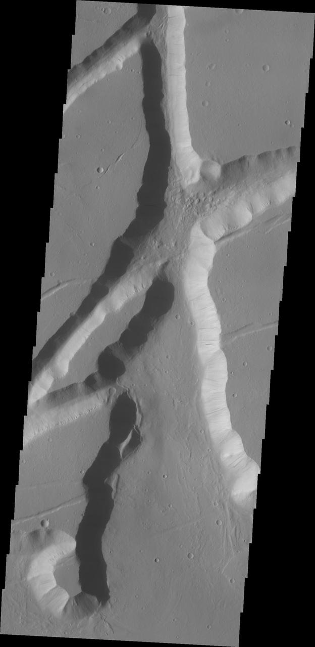 The fracture system shown in this image from NASA Mars Odyssey is on the northern margin of the Kasei Valles lowland. Fractures like this can become chaos with continued downdropping of blocks and widening fractures.