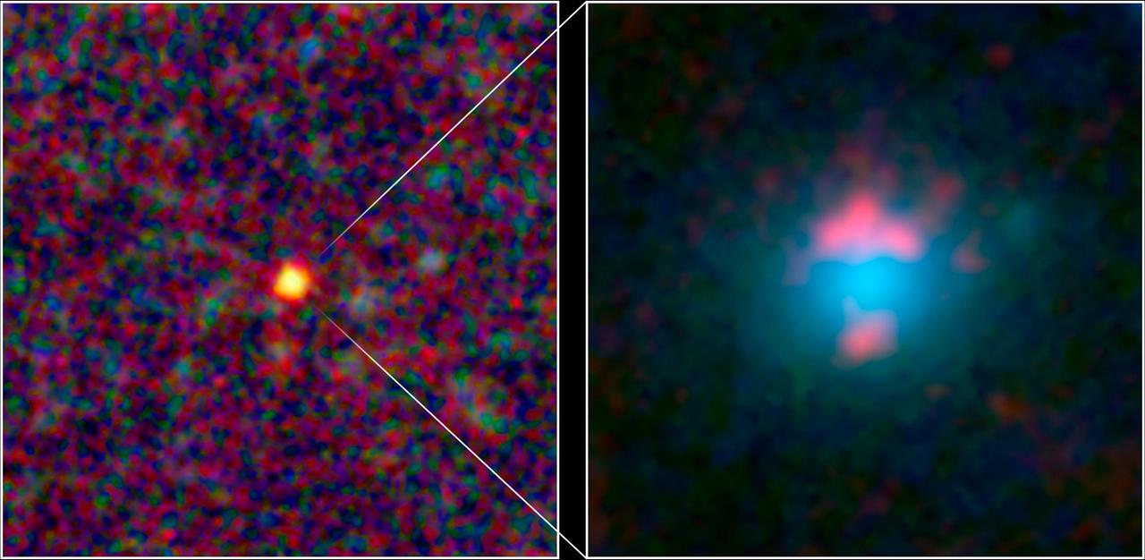 This image composite shows a warped and magnified view of a galaxy discovered by the Herschel Space Observatory, one of five such galaxies uncovered by the infrared telescope. The galaxy, referred to as SDP 81 is the yellow dot in the left image.