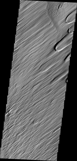NASA image: Wind Texture