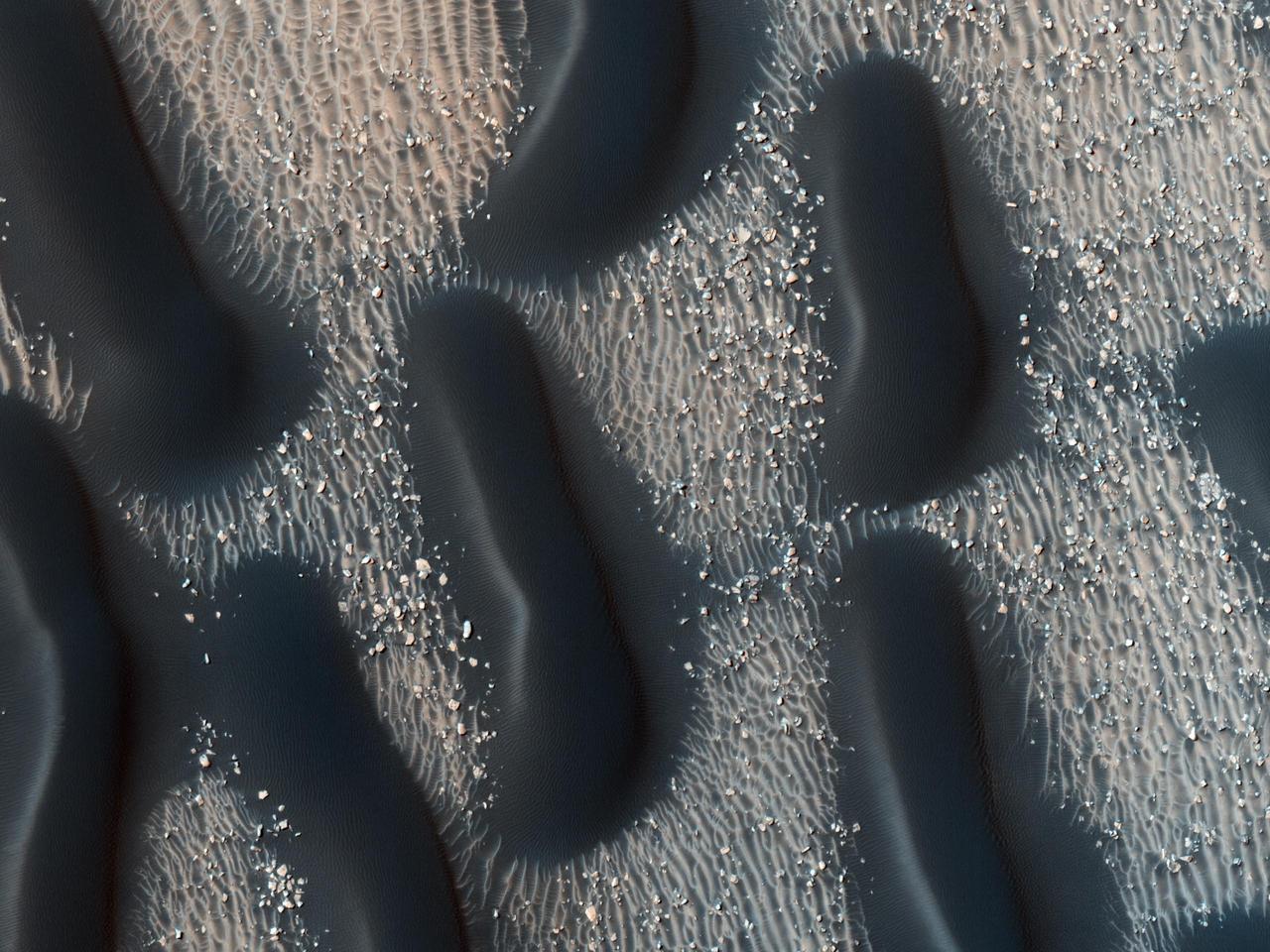 This observation from NASA Mars Reconnaissance Orbiter shows the edge of a dark dune field on the floor of Proctor Crater in the Southern highlands of Mars. The dark dunes are composed of basaltic sand that has collected on the bottom of the crater.